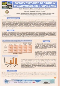 Poster 2012 Bottecchi minion