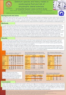 Poster 2012 Vinceti icne