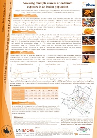 Poster 2015 EFSA filippini minion