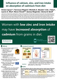 Poster ISEE2019